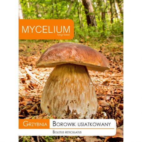 Grzybnia Borowik usiatkowany 15g