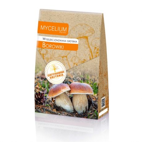 grzybnia-borowiki-120ml-mycelium