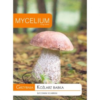 Grzybnia Koźlarz babka 15g