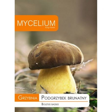 Grzybnia Podgrzybek brunatny 10g